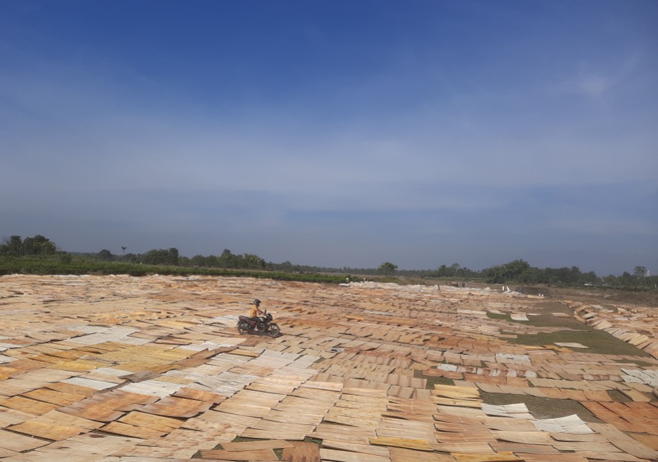 भारतले हटायो नेपाली प्लाइउड निकासीको अवरोध